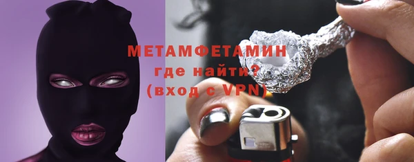 индика Новозыбков