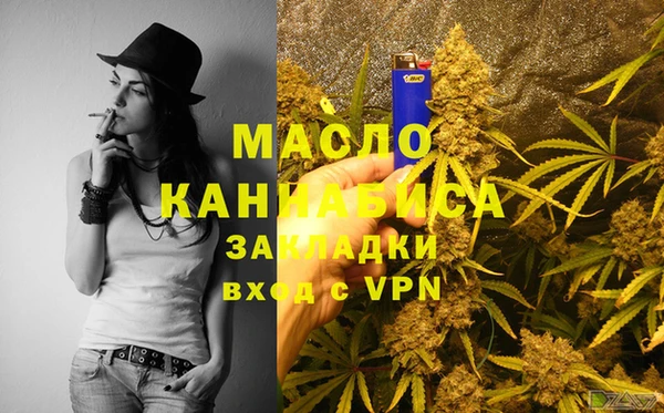 индика Новозыбков