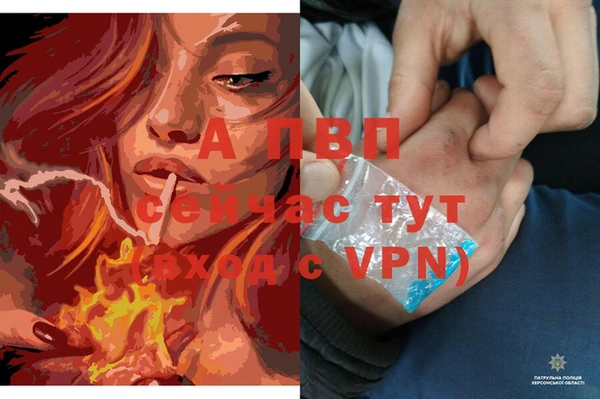 mdpv Новодвинск
