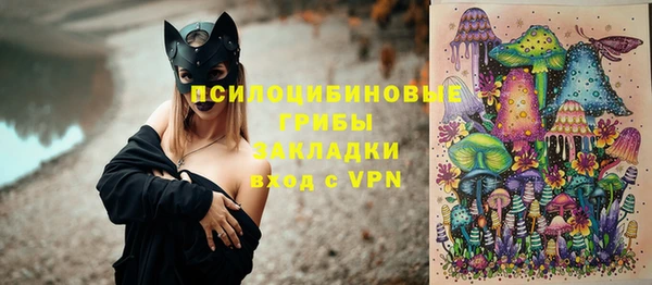 mdpv Новодвинск