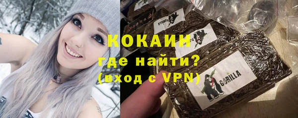 индика Новозыбков