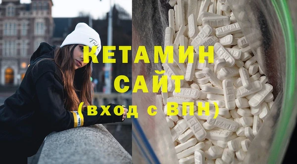 индика Новозыбков