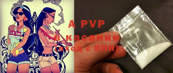 индика Новозыбков