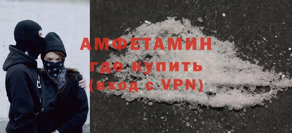 индика Новозыбков