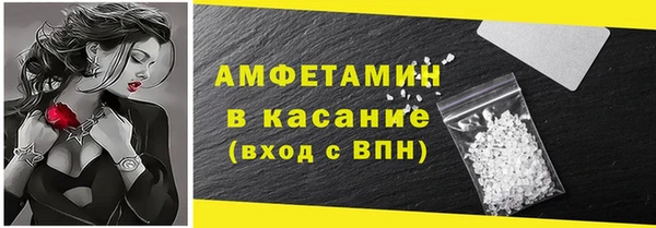 индика Новозыбков