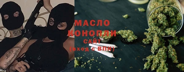 индика Новозыбков