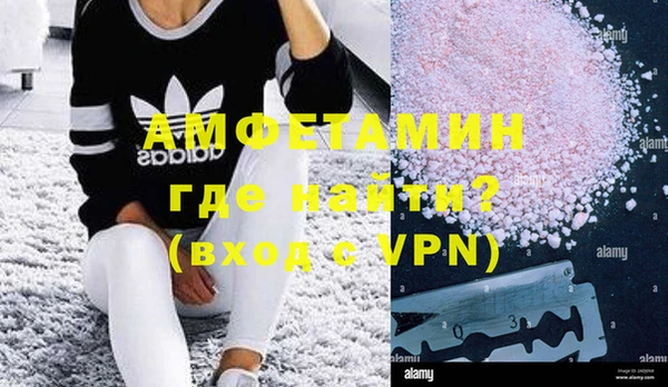 индика Новозыбков