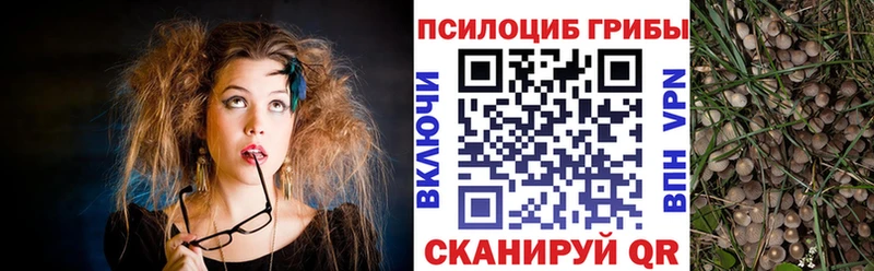 Псилоцибиновые грибы Cubensis  Майкоп 