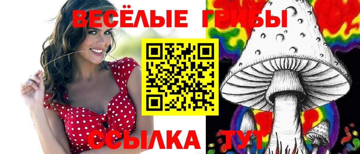 Псилоцибиновые грибы GOLDEN TEACHER  Галлюциногенные грибы Cubensis  Майкоп  Вход с VPN 
