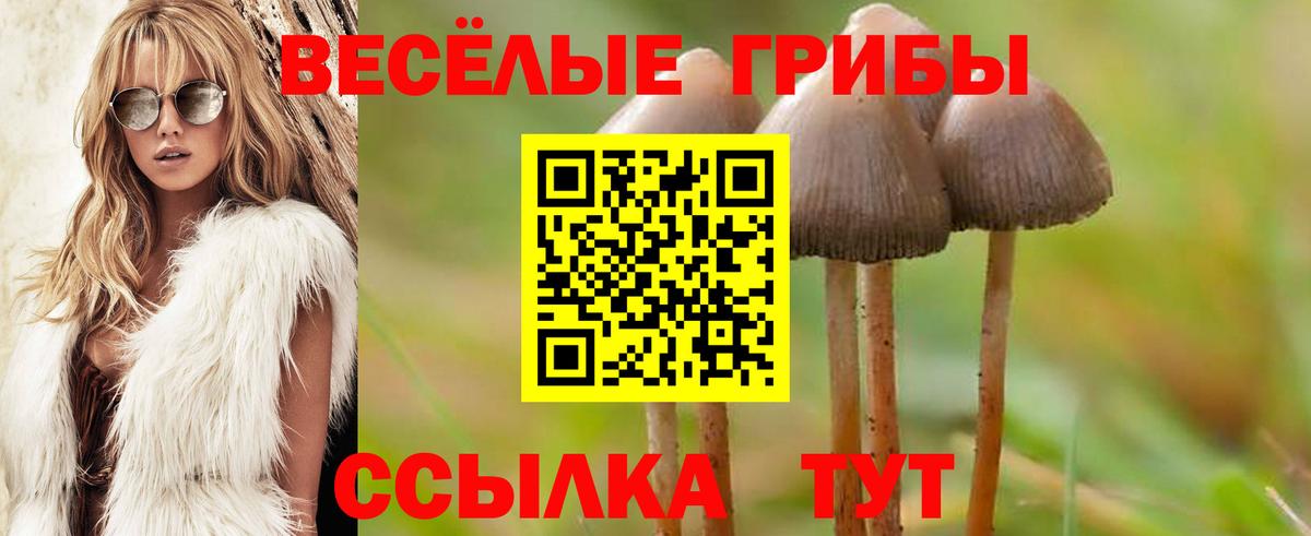 Псилоцибиновые грибы ЛСД Майкоп