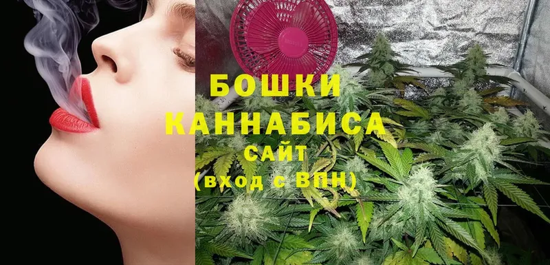 Бошки марихуана OG Kush  где продают наркотики  Майкоп 